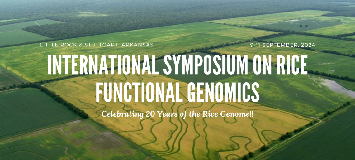 Aerial view of rice fields with text promoting the International Symposium on Rice Functional Genomics, held in Little Rock and Stuttgart, Arkansas, from September 9-11, 2024, celebrating 20 years of the Rice Genome.